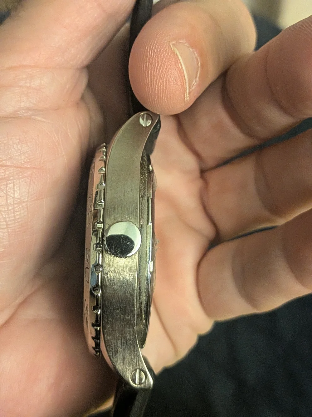 Invicta ibi 41705